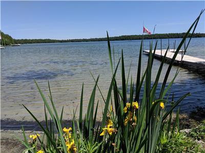 NEW***Cameron Lake Waterfront Cottage Rental! Perfect Family Cottage Getaway near Tobermory.