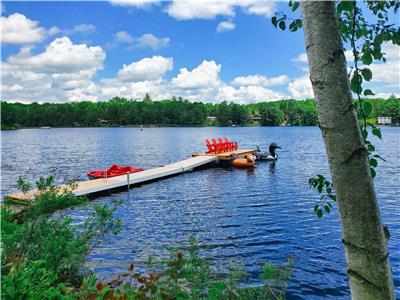 Nouvelle ferme de luxe au bord du lac | 4+ acres privs, rivage de 400 pieds | 2 trs grands lits