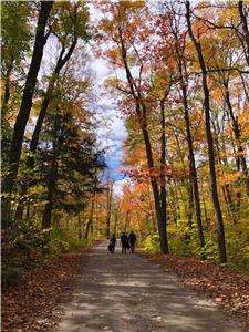 Fall leaves special Sept/Oct - drive to, dock, fishing, lakefront