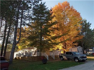 Muskoka Seasonal Modular Cottag for sale under !00,000