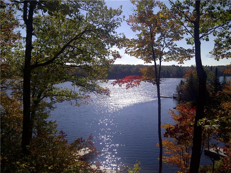 Waterfront Muskoka cottage, family Mckellar Cottage Rental DI14388