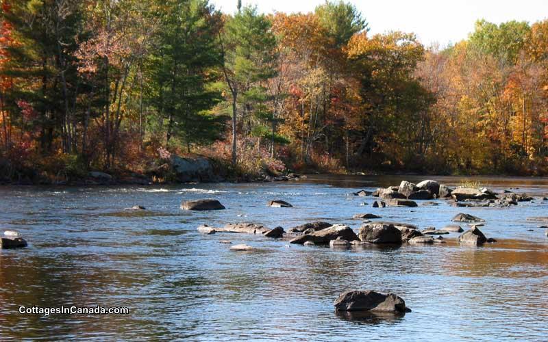 Crowe Lake River Cottage - Havelock Cottage Rental | GL-15355 ...