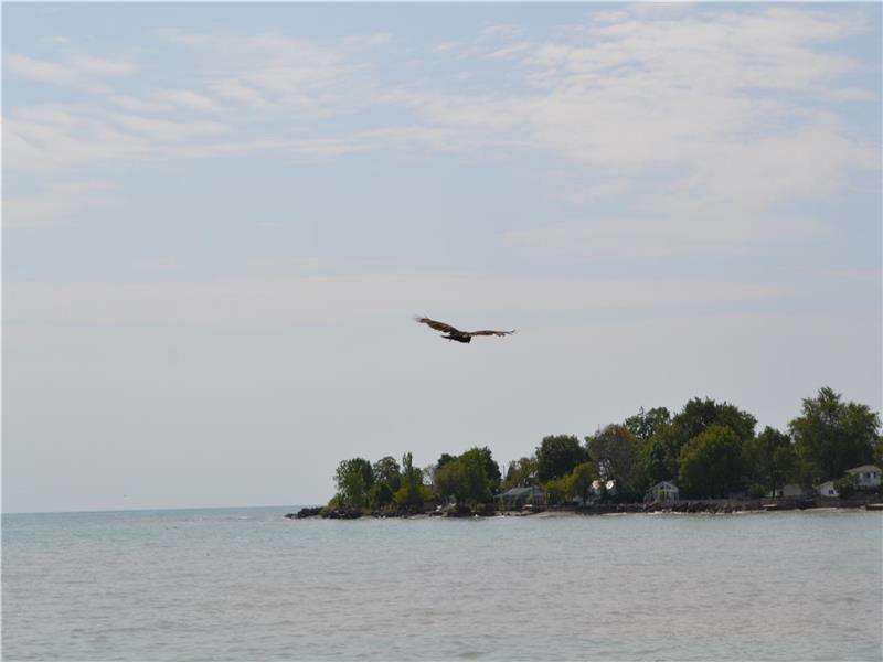 Summer Fall and Winter Lazy in Lowbanks Cottage Rental GL26808