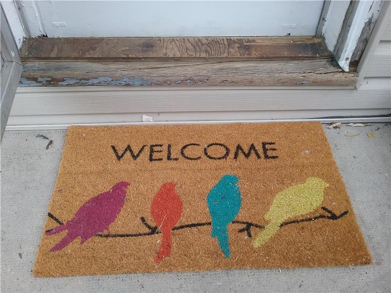 Summer Fall and Winter Lazy in Lowbanks Cottage Rental GL26808