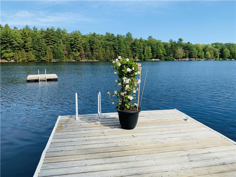 Magical Bass Lake Muskoka Getaway Muskoka Lakes Cottage Rental DI magical-bass-lake-muskoka-getaway-muskoka-lakes-cottage-rental-di